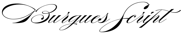 Burgues Script