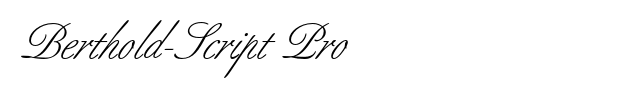 Berthold-Script Pro