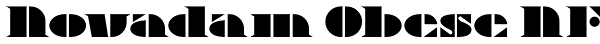 Novadam Obese NF