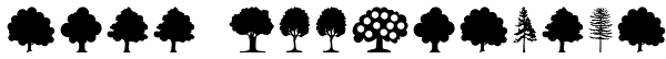 Tree Assortment