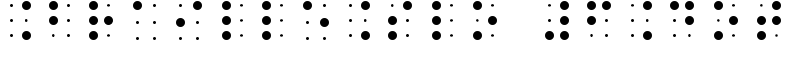 BrailleSlo 6Dot