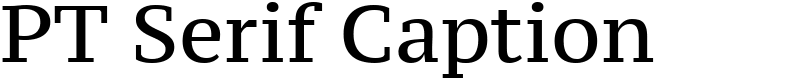 PT Serif Caption