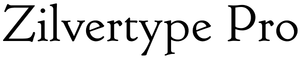 Zilvertype Pro