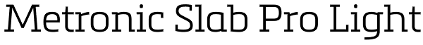 Metronic Slab Pro Light Font