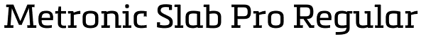 Metronic Slab Pro Regular Font