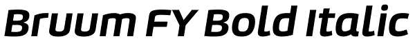 Bruum FY Bold Italic Font