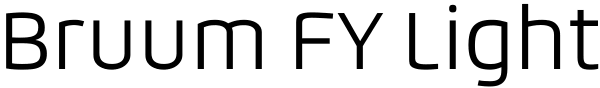 Bruum FY Light Font