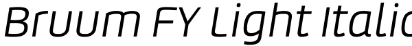 Bruum FY Light Italic Font