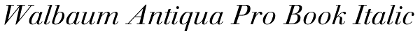 Walbaum Antiqua Pro Book Italic Font