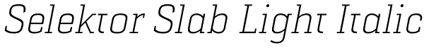 Selektor Slab Light Italic Font