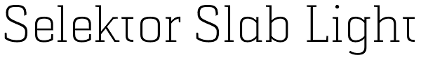 Selektor Slab Light Font