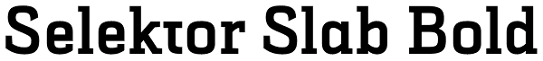 Selektor Slab Bold Font