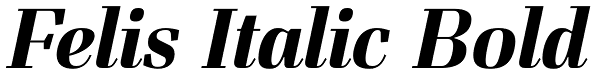 Felis Italic Bold Font