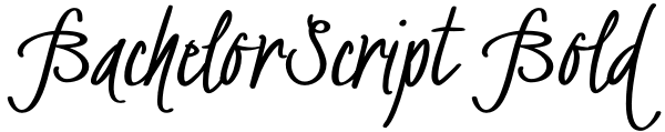 BachelorScript Bold Font