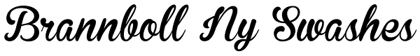 Brannboll Ny Swashes Font