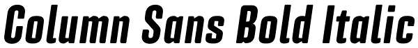 Column Sans Bold Italic Font
