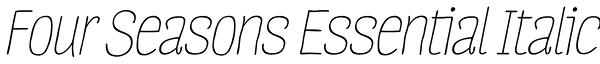 Four Seasons Essential Italic Font