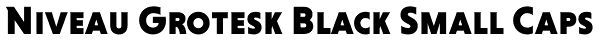 Niveau Grotesk Black Small Caps Font