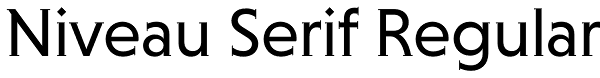 Niveau Serif Regular Font