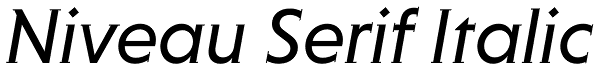 Niveau Serif Italic Font