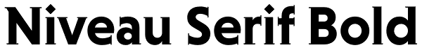 Niveau Serif Bold Font