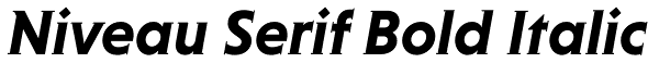 Niveau Serif Bold Italic Font