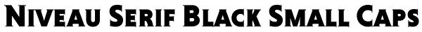 Niveau Serif Black Small Caps Font
