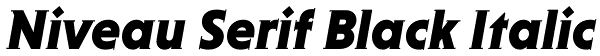 Niveau Serif Black Italic Font
