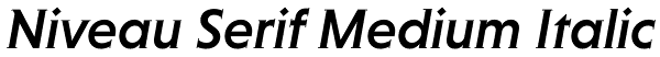 Niveau Serif Medium Italic Font