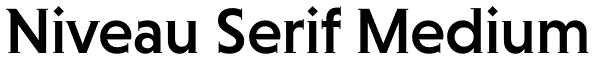 Niveau Serif Medium Font