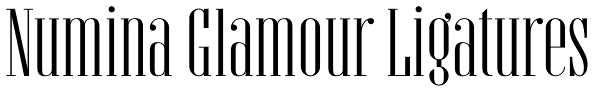 Numina Glamour Ligatures Font