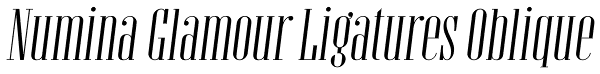 Numina Glamour Ligatures Oblique Font