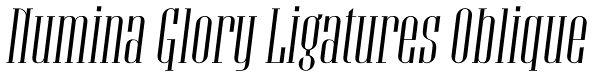 Numina Glory Ligatures Oblique Font