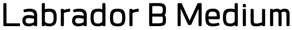 Labrador B Medium Font