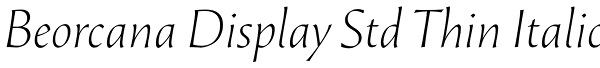 Beorcana Display Std Thin Italic Font