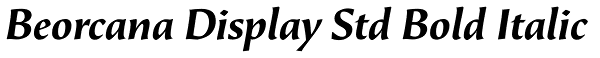Beorcana Display Std Bold Italic Font