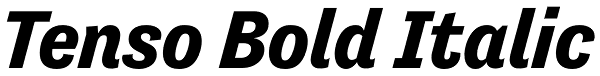 Tenso Bold Italic Font