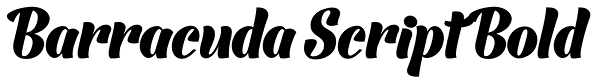 Barracuda Script Bold Font