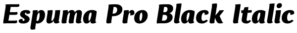 Espuma Pro Black Italic Font