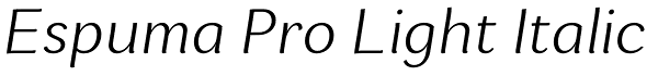 Espuma Pro Light Italic Font