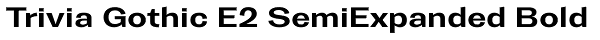 Trivia Gothic E2 SemiExpanded Bold Font