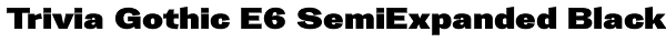 Trivia Gothic E6 SemiExpanded Black Font