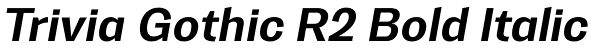 Trivia Gothic R2 Bold Italic Font