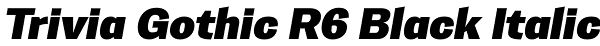 Trivia Gothic R6 Black Italic Font