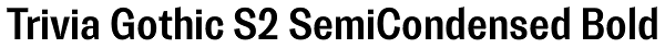 Trivia Gothic S2 SemiCondensed Bold Font