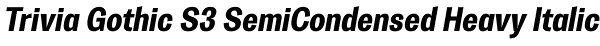 Trivia Gothic S3 SemiCondensed Heavy Italic Font