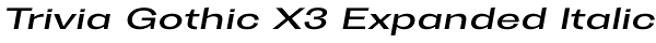 Trivia Gothic X3 Expanded Italic Font