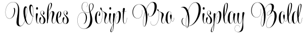 Wishes Script Pro Display Bold Font