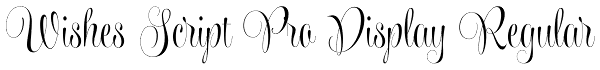 Wishes Script Pro Display Regular Font