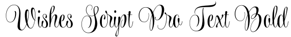 Wishes Script Pro Text Bold Font